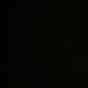 Meet your Posher, Rameses